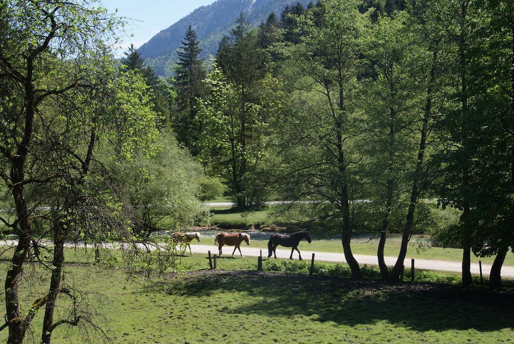 Bluntaumuehle Appartamento Golling an der Salzach