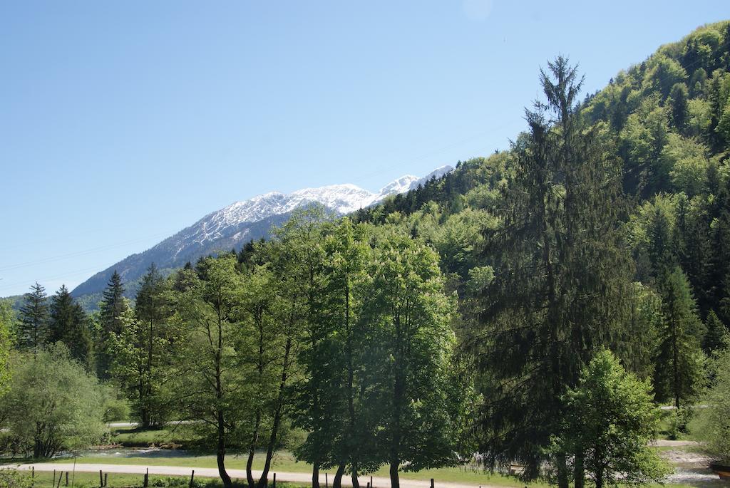 Bluntaumuehle Golling an der Salzach
