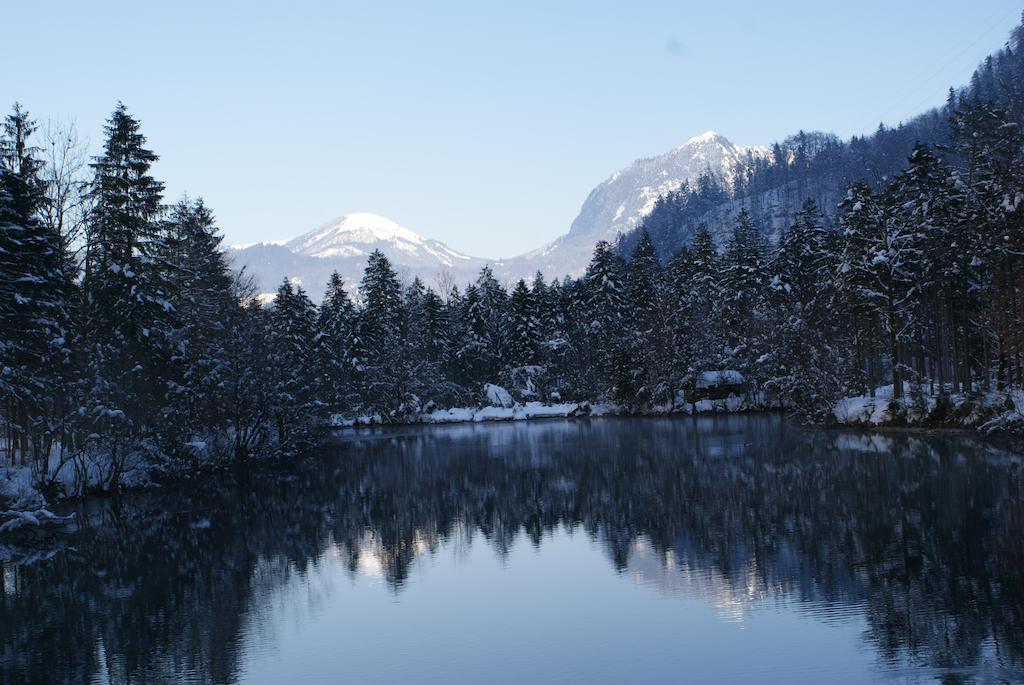 Appartement Bluntaumuehle Golling an der Salzach