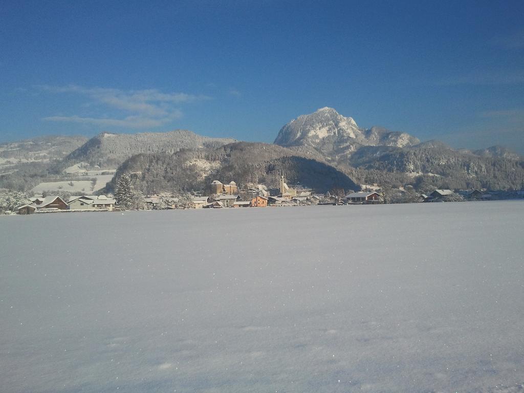 Bluntaumuehle Golling an der Salzach